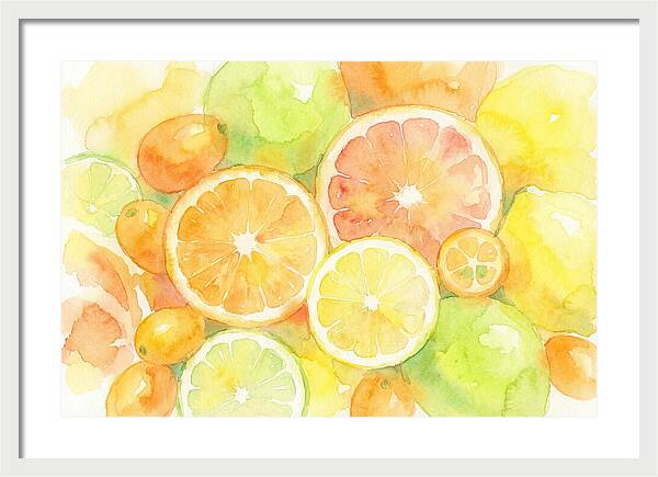 Citrus Fruit Medley
