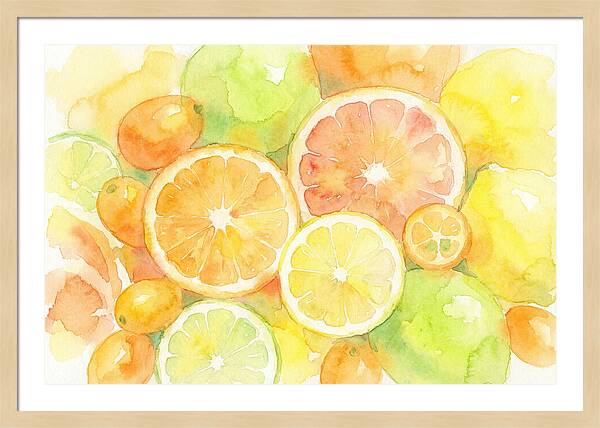 Citrus Fruit Medley