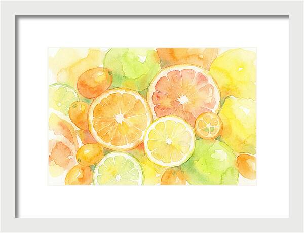 Citrus Fruit Medley