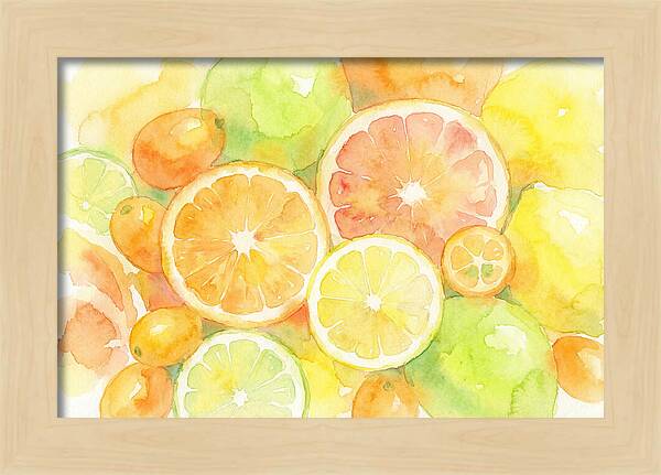 Citrus Fruit Medley