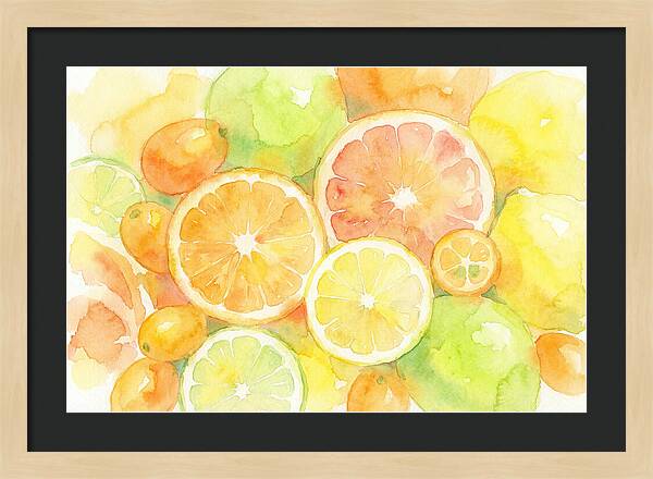 Citrus Fruit Medley
