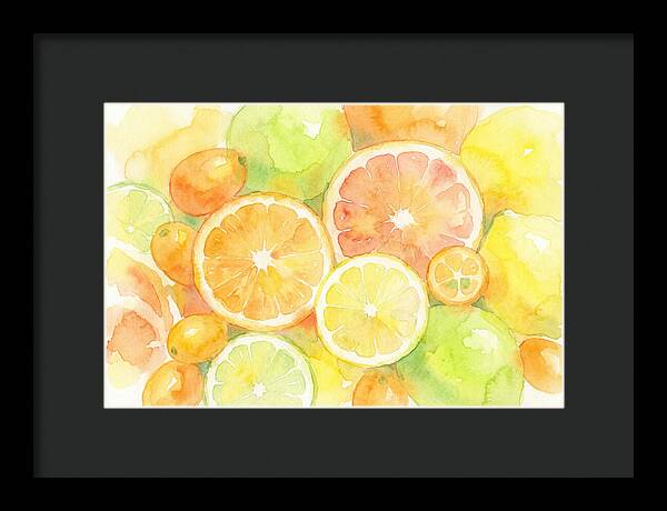 Citrus Fruit Medley