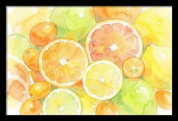 Citrus Fruit Medley