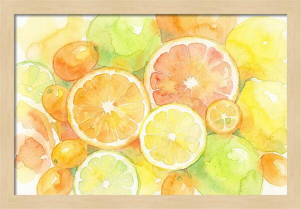 Citrus Fruit Medley