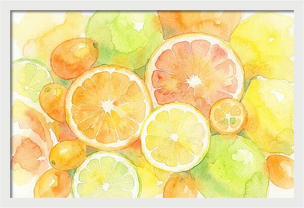 Citrus Fruit Medley