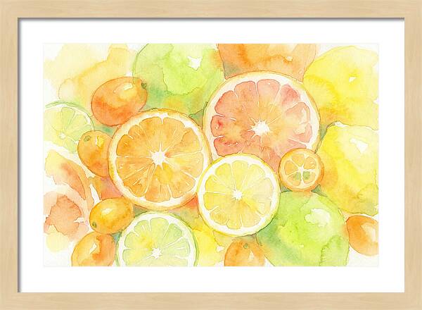 Citrus Fruit Medley