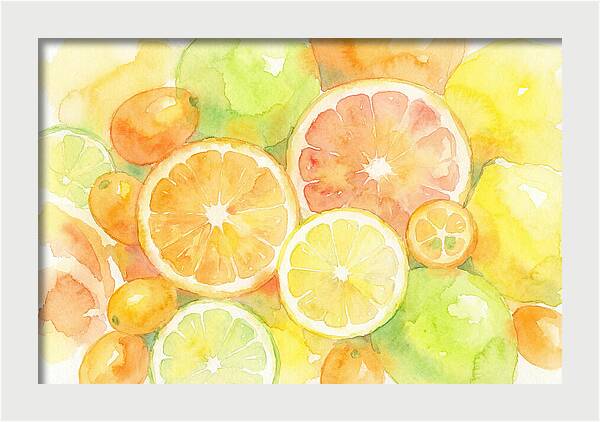 Citrus Fruit Medley