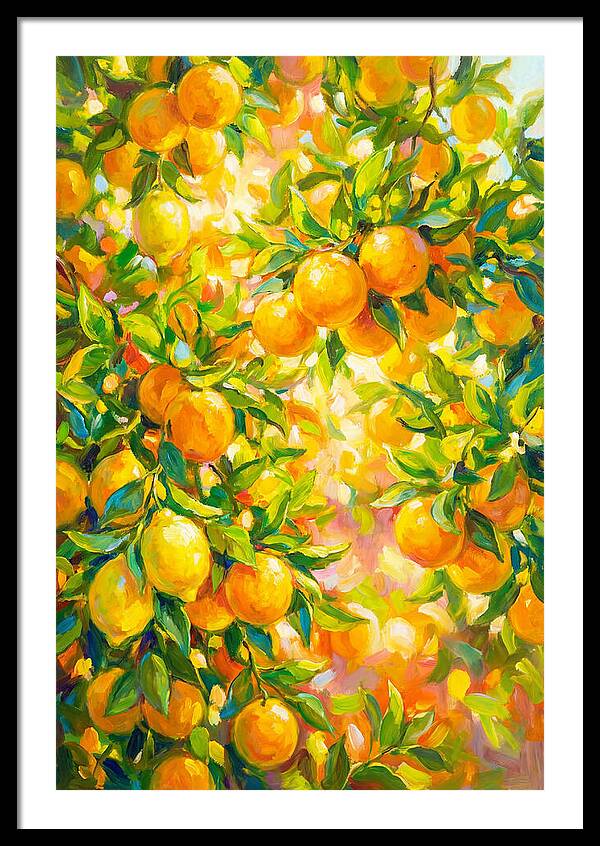 Citrus Grove Radiance