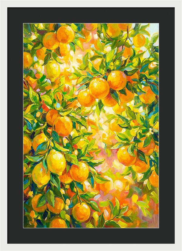Citrus Grove Radiance