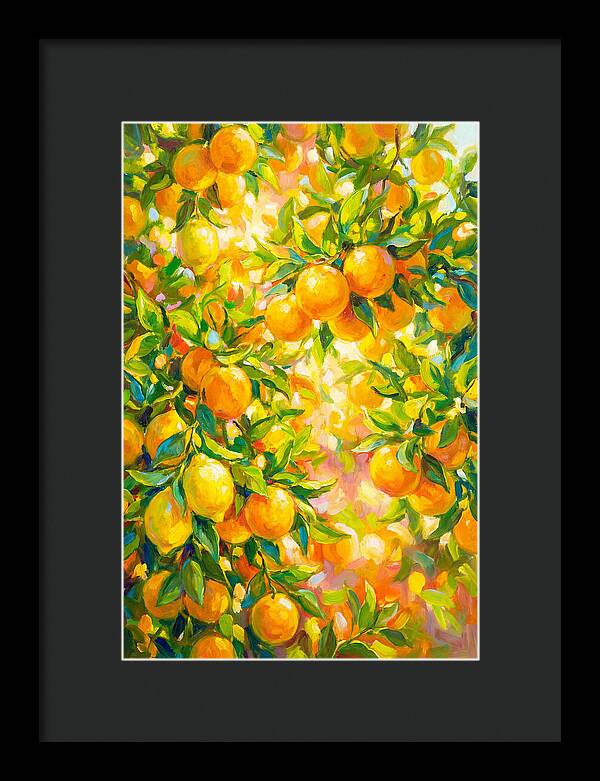 Citrus Grove Radiance