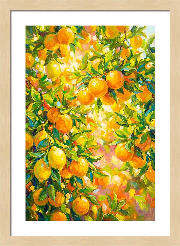 Citrus Grove Radiance
