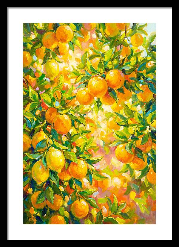Citrus Grove Radiance