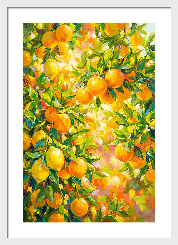 Citrus Grove Radiance