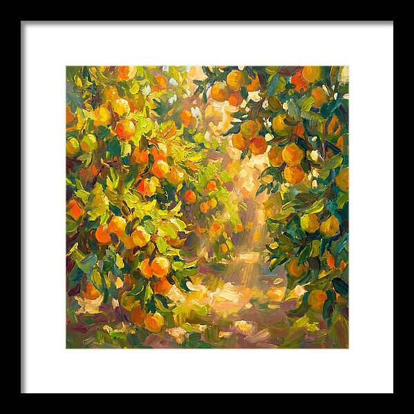 Citrus Grove Serenity