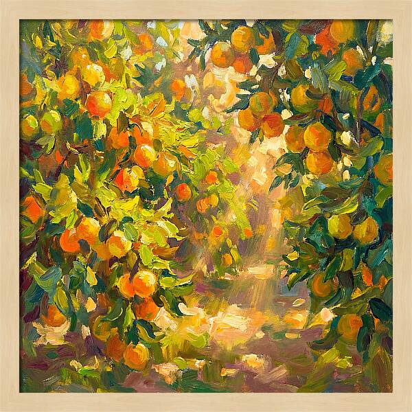 Citrus Grove Serenity