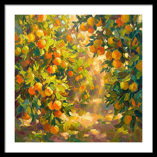 Citrus Grove Serenity