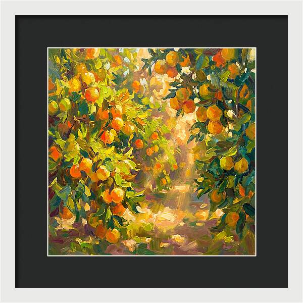 Citrus Grove Serenity
