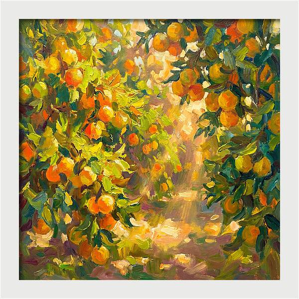 Citrus Grove Serenity