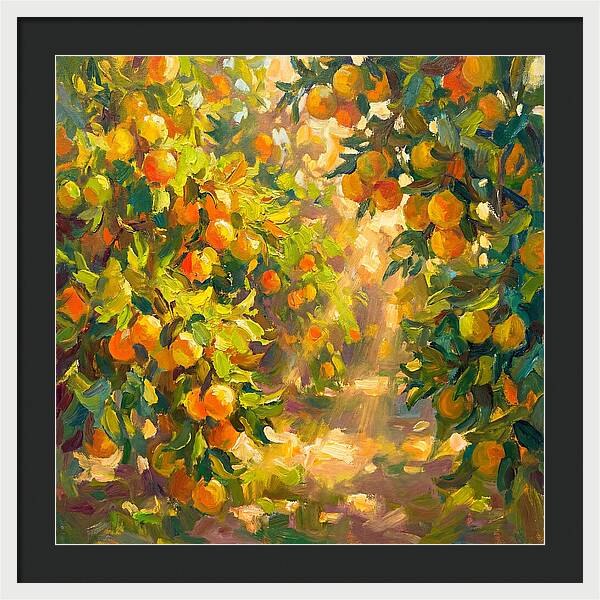 Citrus Grove Serenity