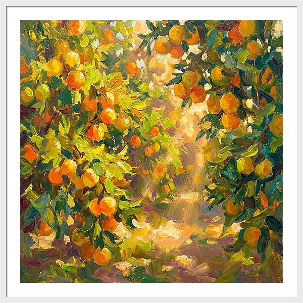 Citrus Grove Serenity