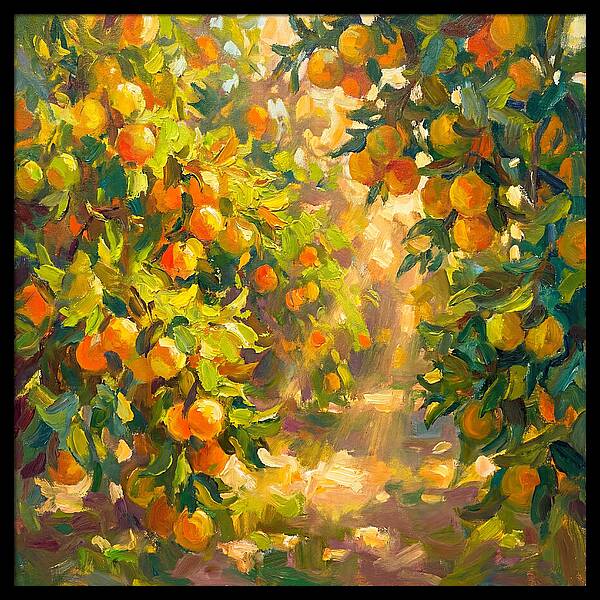 Citrus Grove Serenity
