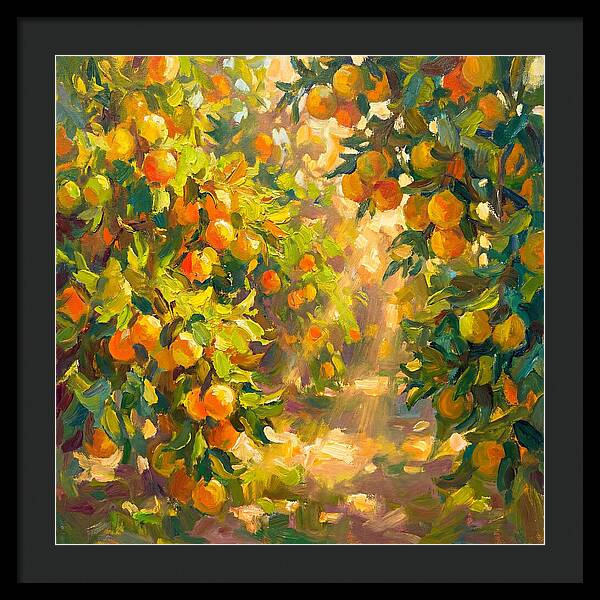 Citrus Grove Serenity