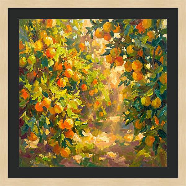 Citrus Grove Serenity