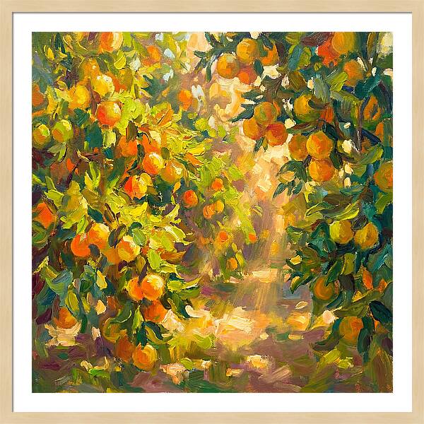 Citrus Grove Serenity