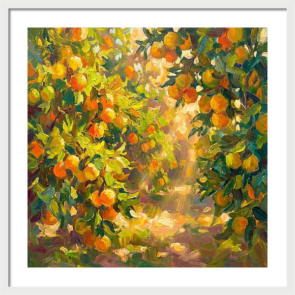 Citrus Grove Serenity