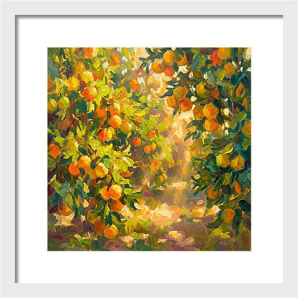 Citrus Grove Serenity
