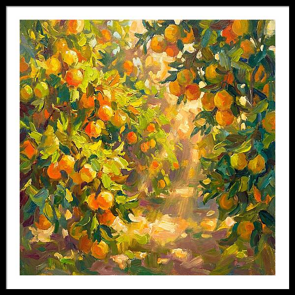 Citrus Grove Serenity