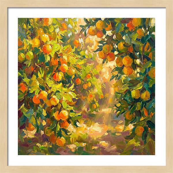 Citrus Grove Serenity