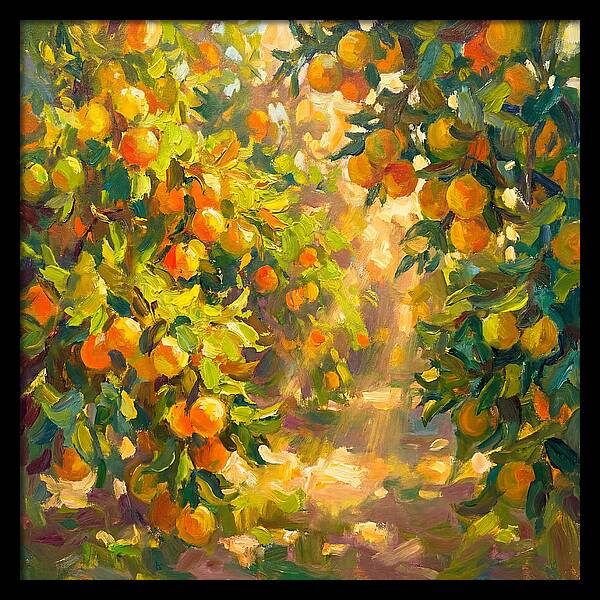Citrus Grove Serenity