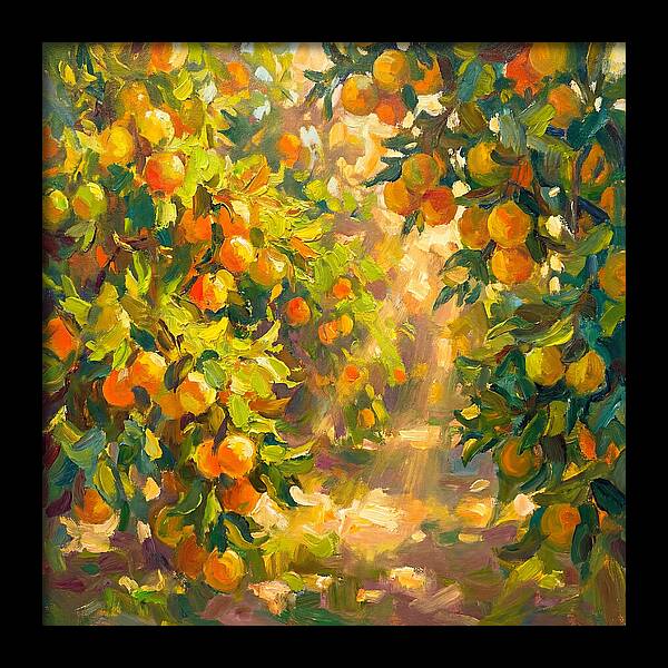 Citrus Grove Serenity