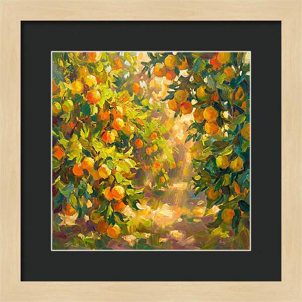 Citrus Grove Serenity