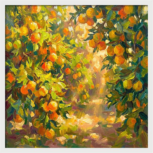 Citrus Grove Serenity