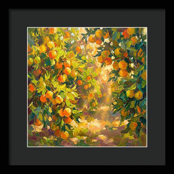 Citrus Grove Serenity
