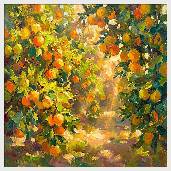 Citrus Grove Serenity