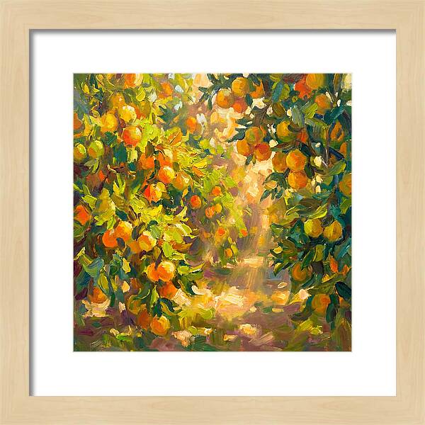 Citrus Grove Serenity