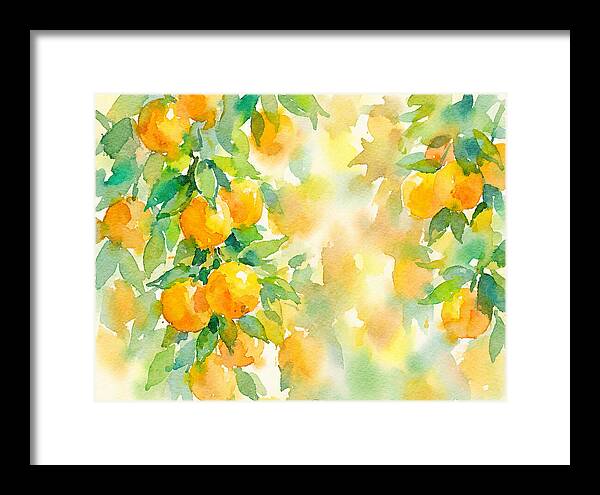 Citrus Orchard Serenity 1844