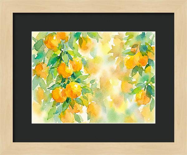 Citrus Orchard Serenity 1844