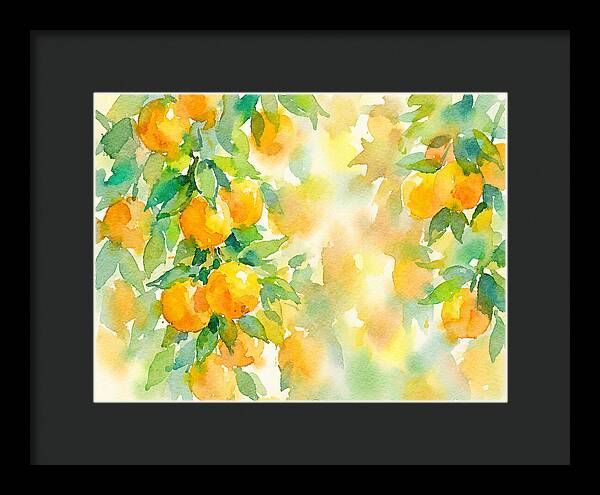 Citrus Orchard Serenity 1844