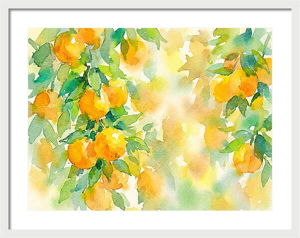 Citrus Orchard Serenity 1844
