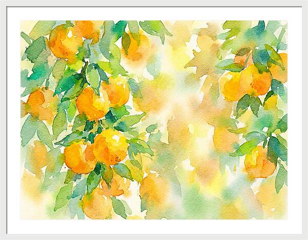 Citrus Orchard Serenity 1844