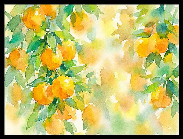 Citrus Orchard Serenity 1844