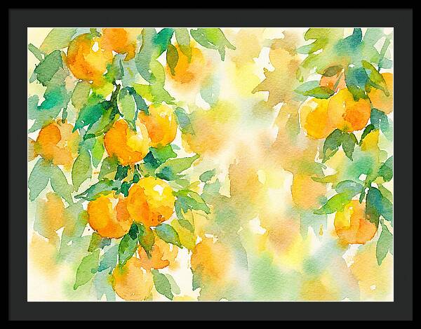 Citrus Orchard Serenity 1844