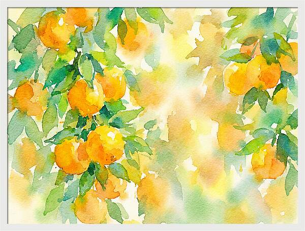 Citrus Orchard Serenity 1844