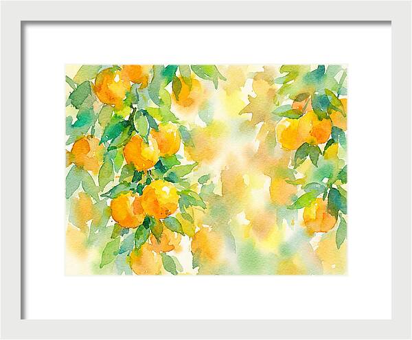 Citrus Orchard Serenity 1844