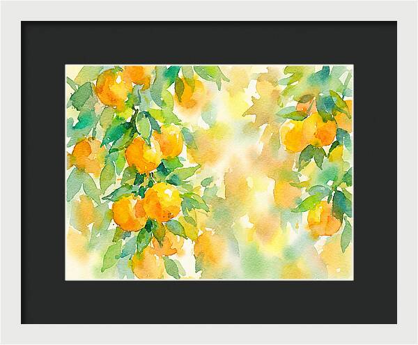 Citrus Orchard Serenity 1844