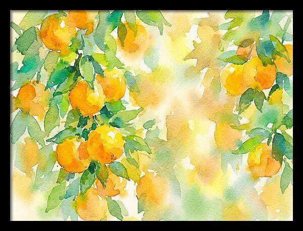 Citrus Orchard Serenity 1844